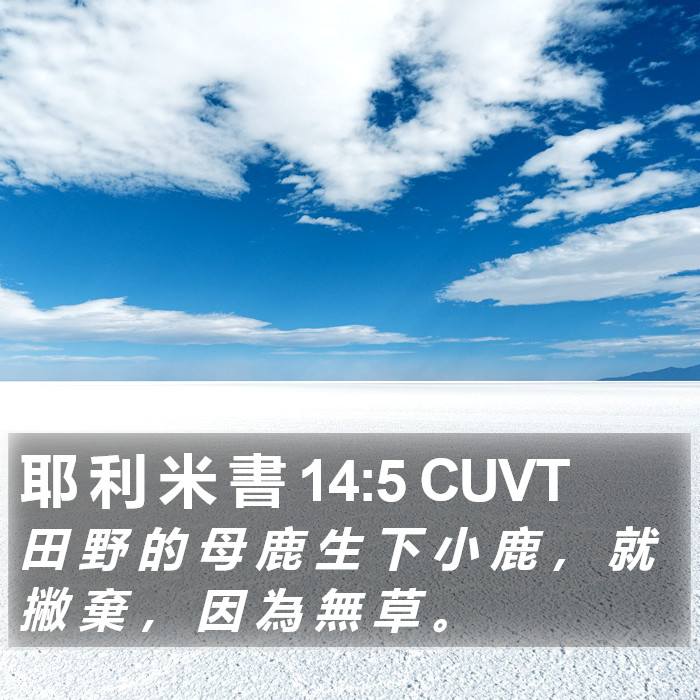 耶 利 米 書 14:5 CUVT Bible Study