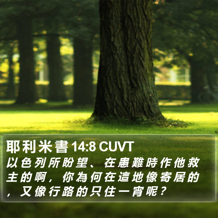 耶 利 米 書 14:8 CUVT Bible Study