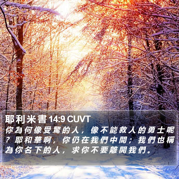 耶 利 米 書 14:9 CUVT Bible Study