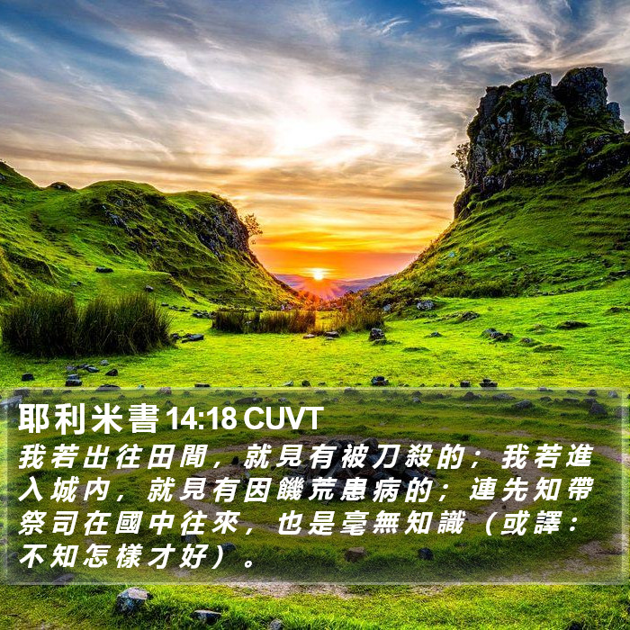 耶 利 米 書 14:18 CUVT Bible Study