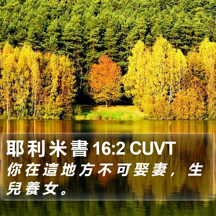 耶 利 米 書 16:2 CUVT Bible Study