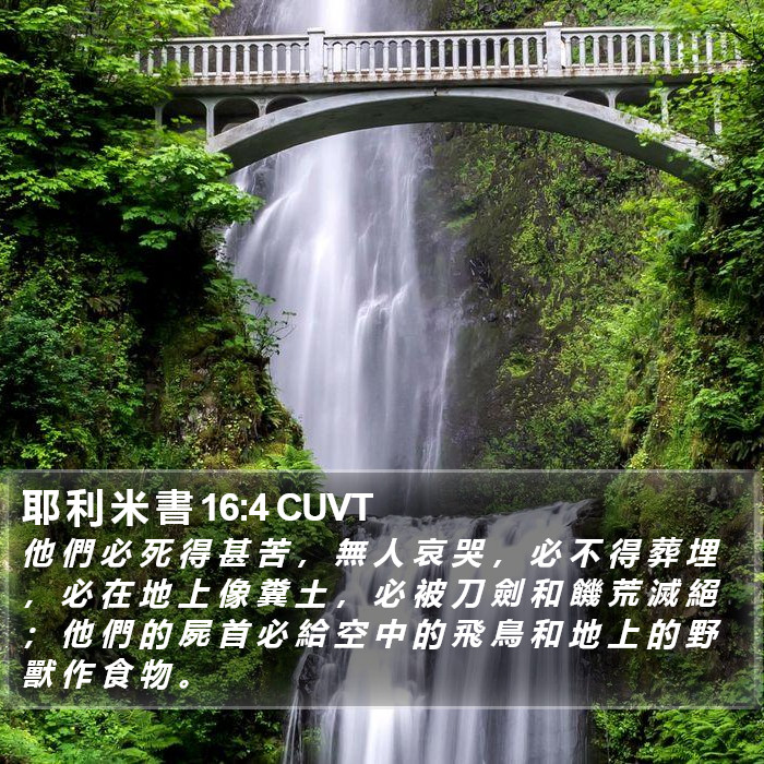 耶 利 米 書 16:4 CUVT Bible Study