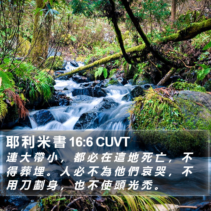 耶 利 米 書 16:6 CUVT Bible Study