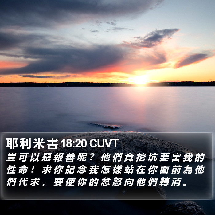 耶 利 米 書 18:20 CUVT Bible Study