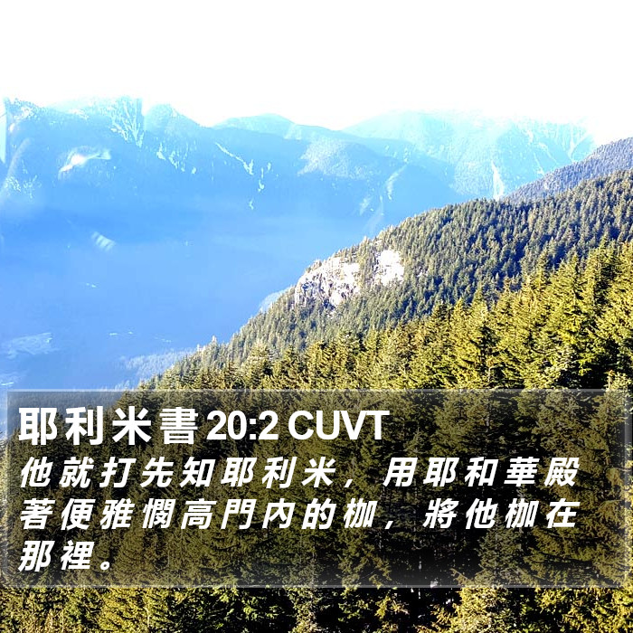 耶 利 米 書 20:2 CUVT Bible Study