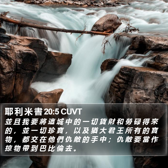 耶 利 米 書 20:5 CUVT Bible Study