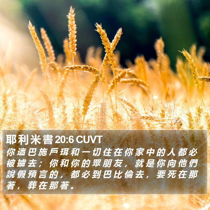 耶 利 米 書 20:6 CUVT Bible Study