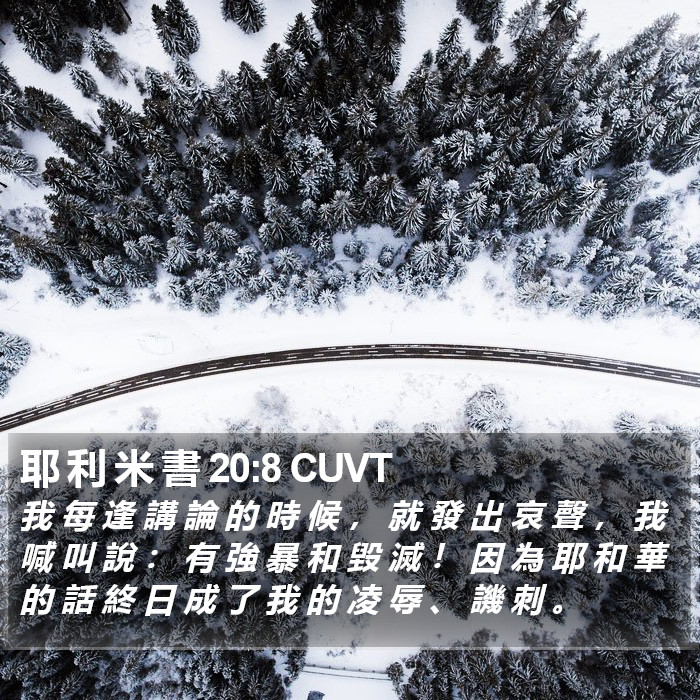 耶 利 米 書 20:8 CUVT Bible Study