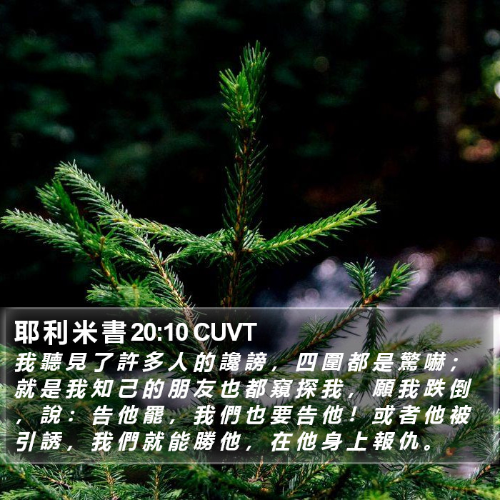 耶 利 米 書 20:10 CUVT Bible Study