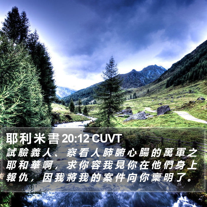 耶 利 米 書 20:12 CUVT Bible Study