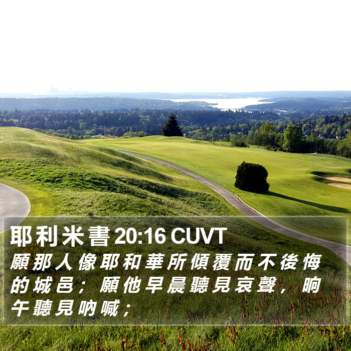 耶 利 米 書 20:16 CUVT Bible Study