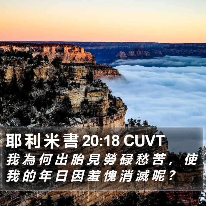 耶 利 米 書 20:18 CUVT Bible Study