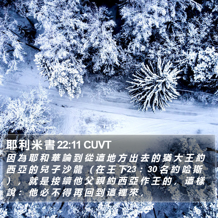 耶 利 米 書 22:11 CUVT Bible Study