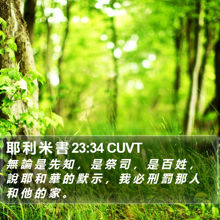 耶 利 米 書 23:34 CUVT Bible Study
