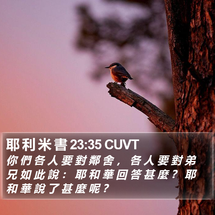 耶 利 米 書 23:35 CUVT Bible Study