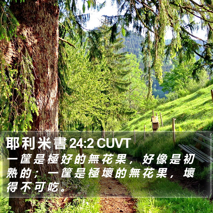 耶 利 米 書 24:2 CUVT Bible Study