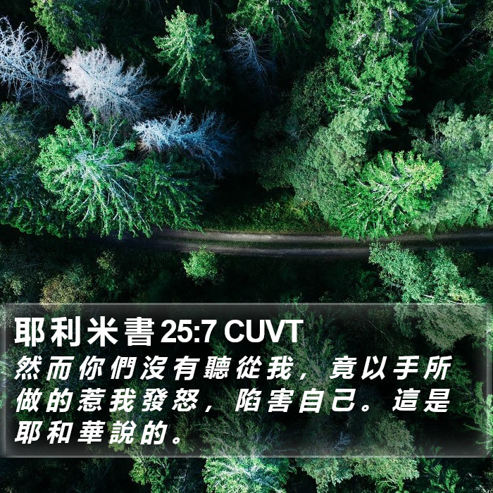 耶 利 米 書 25:7 CUVT Bible Study