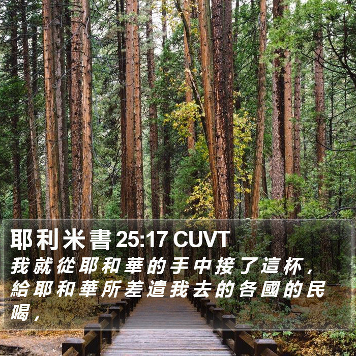 耶 利 米 書 25:17 CUVT Bible Study
