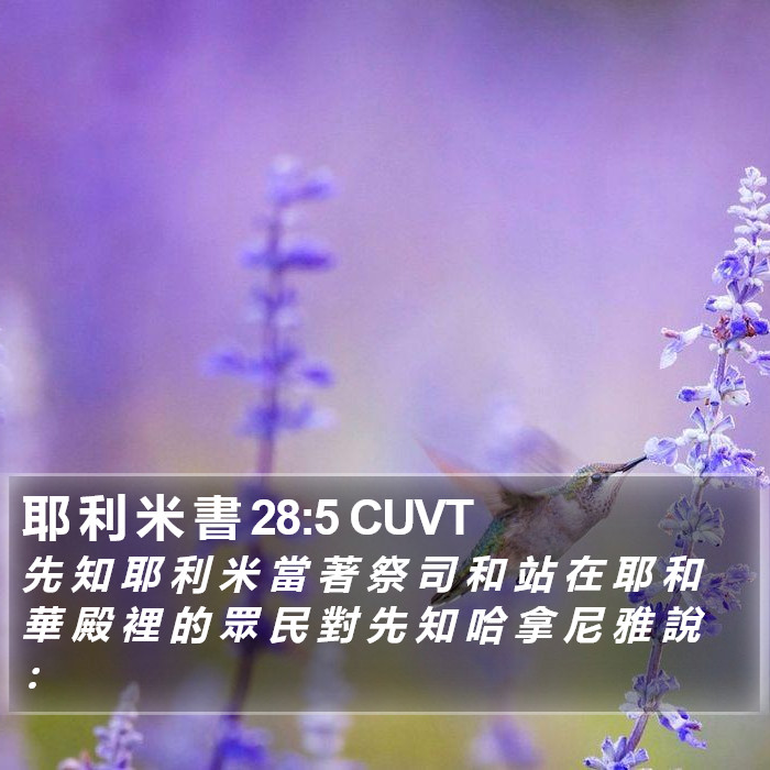 耶 利 米 書 28:5 CUVT Bible Study