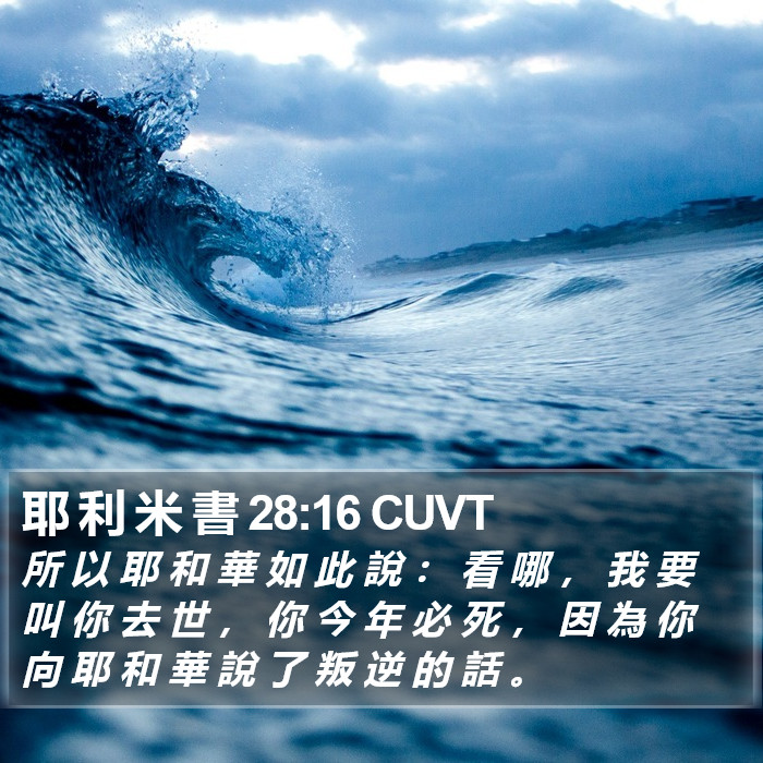 耶 利 米 書 28:16 CUVT Bible Study