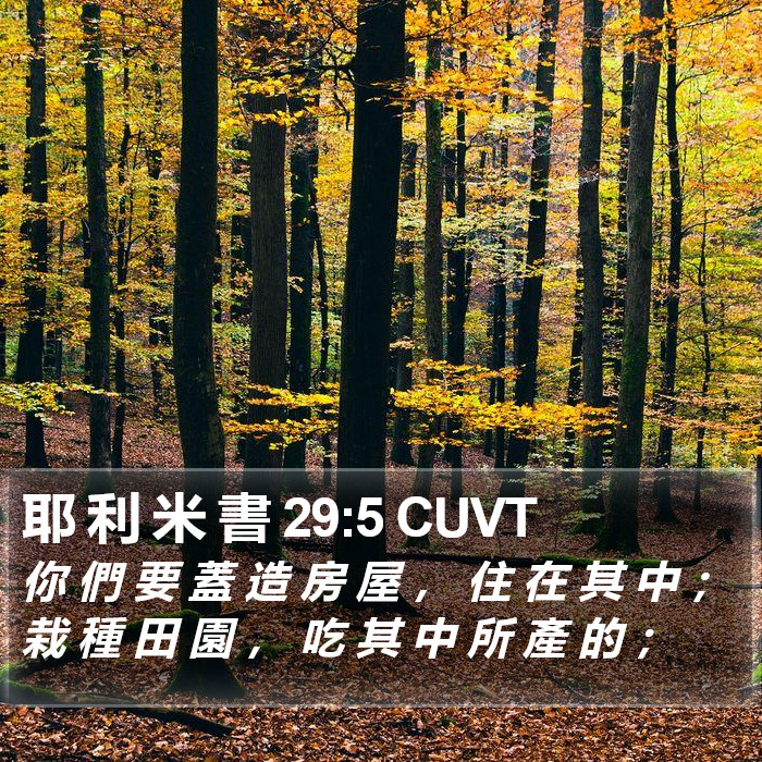 耶 利 米 書 29:5 CUVT Bible Study