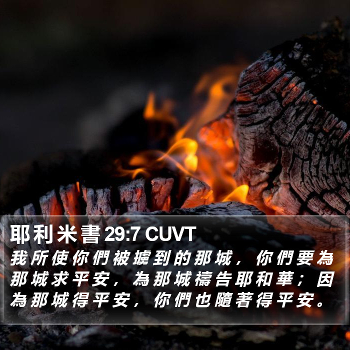 耶 利 米 書 29:7 CUVT Bible Study