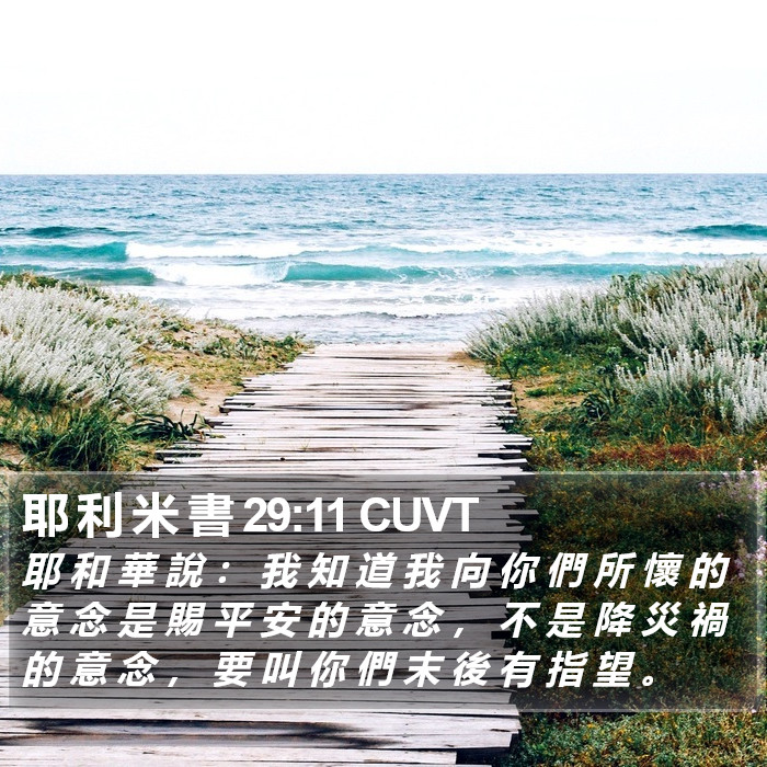 耶 利 米 書 29:11 CUVT Bible Study