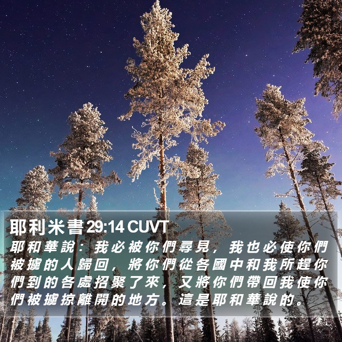 耶 利 米 書 29:14 CUVT Bible Study