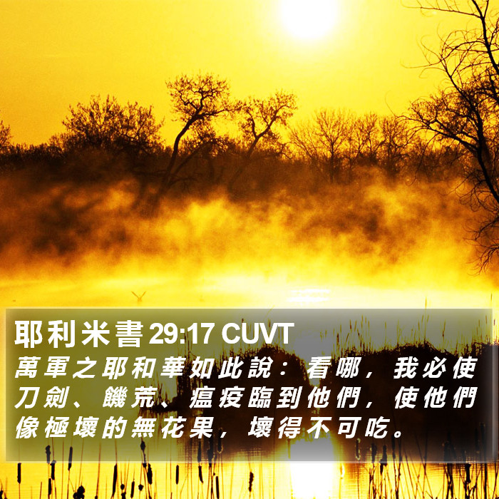 耶 利 米 書 29:17 CUVT Bible Study