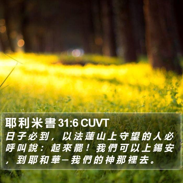 耶 利 米 書 31:6 CUVT Bible Study