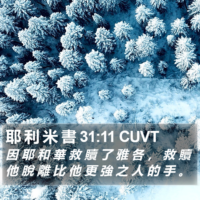 耶 利 米 書 31:11 CUVT Bible Study