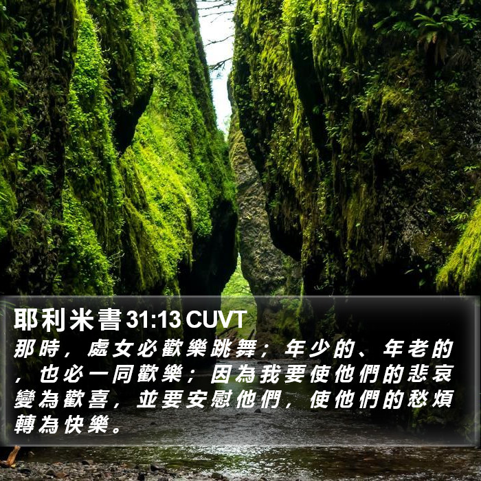 耶 利 米 書 31:13 CUVT Bible Study