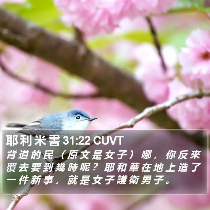 耶 利 米 書 31:22 CUVT Bible Study