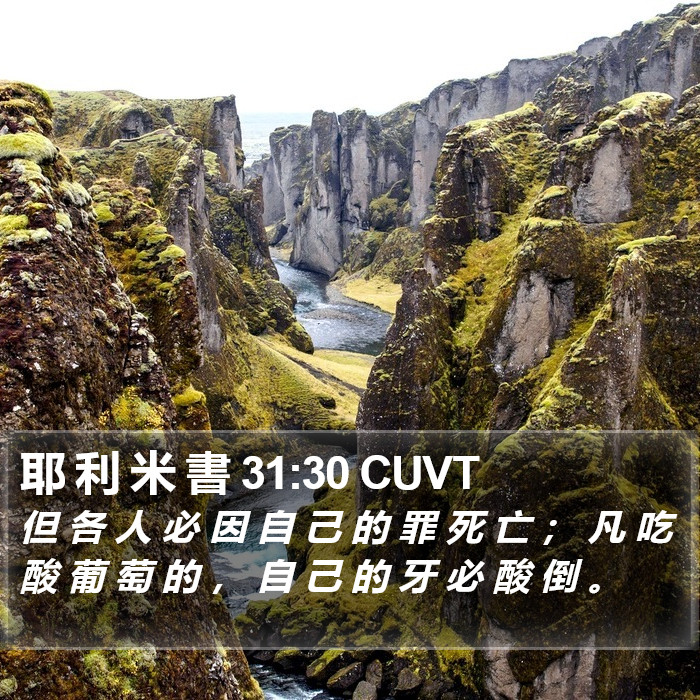 耶 利 米 書 31:30 CUVT Bible Study