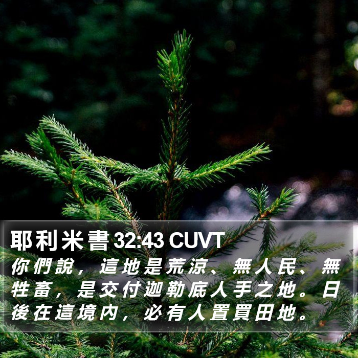 耶 利 米 書 32:43 CUVT Bible Study
