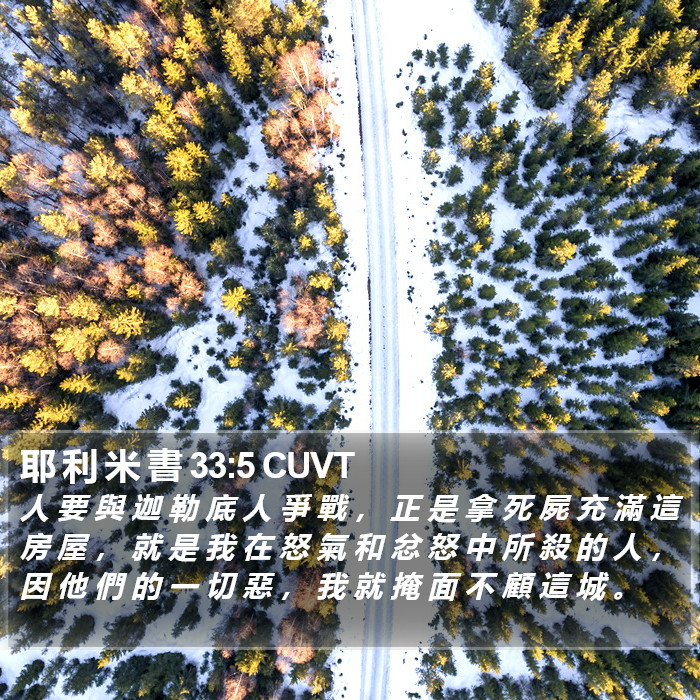 耶 利 米 書 33:5 CUVT Bible Study