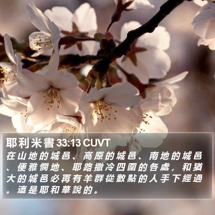 耶 利 米 書 33:13 CUVT Bible Study