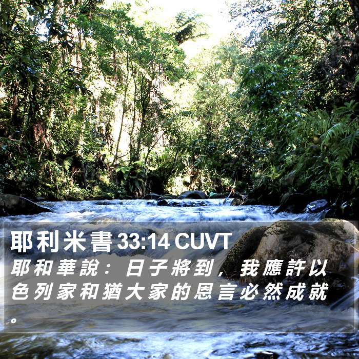 耶 利 米 書 33:14 CUVT Bible Study