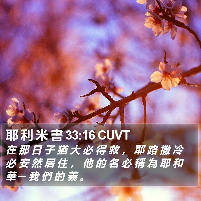 耶 利 米 書 33:16 CUVT Bible Study