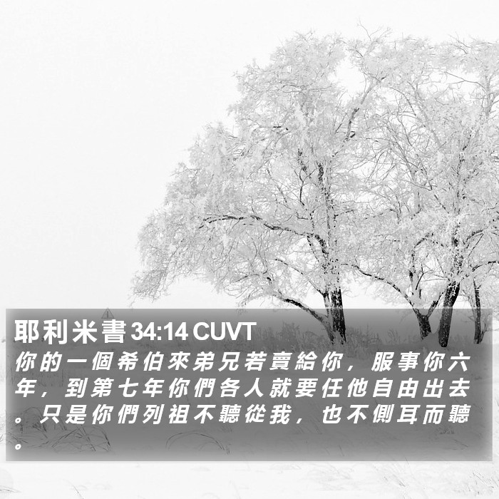 耶 利 米 書 34:14 CUVT Bible Study