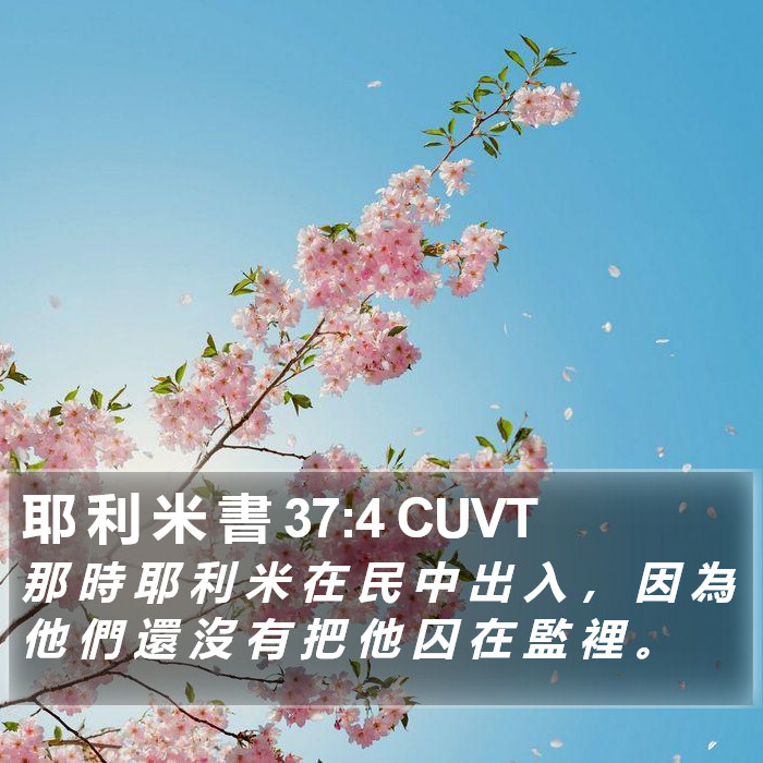 耶 利 米 書 37:4 CUVT Bible Study