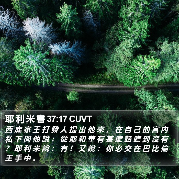 耶 利 米 書 37:17 CUVT Bible Study
