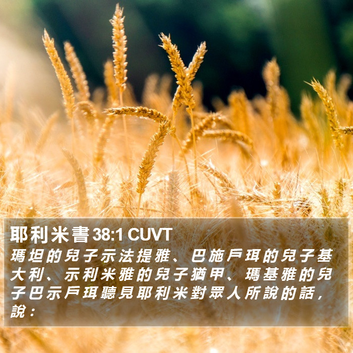 耶 利 米 書 38:1 CUVT Bible Study