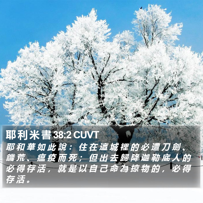 耶 利 米 書 38:2 CUVT Bible Study