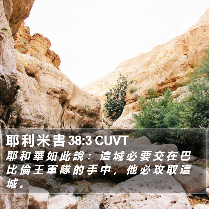 耶 利 米 書 38:3 CUVT Bible Study