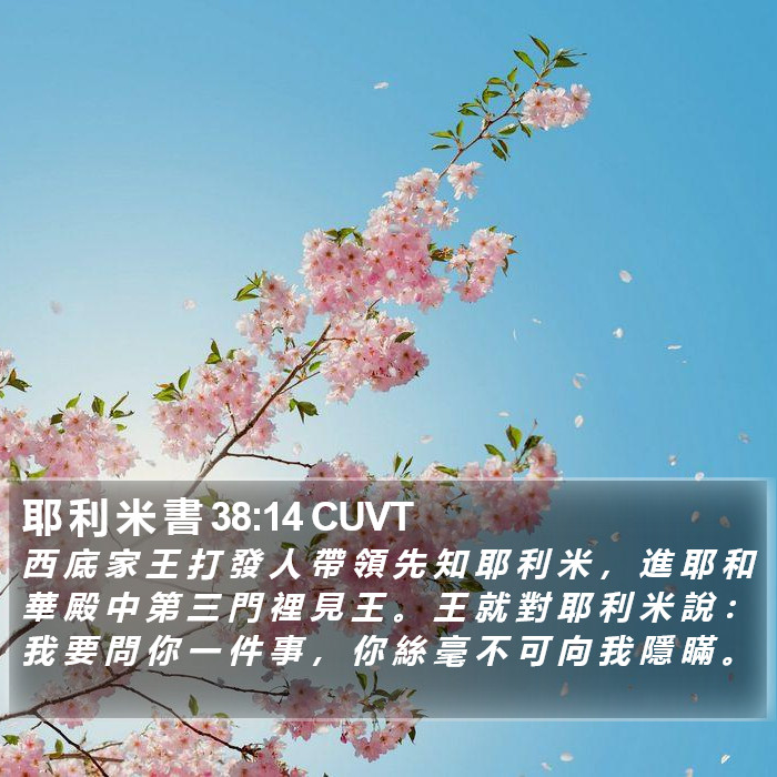 耶 利 米 書 38:14 CUVT Bible Study