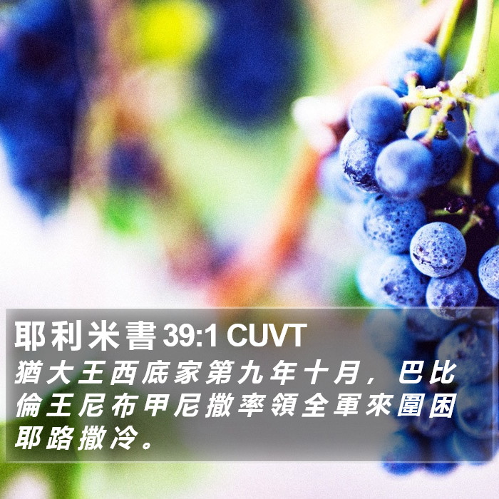 耶 利 米 書 39:1 CUVT Bible Study