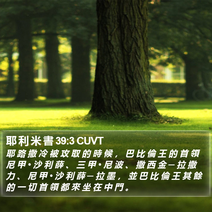 耶 利 米 書 39:3 CUVT Bible Study