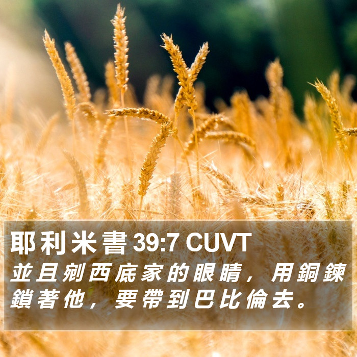耶 利 米 書 39:7 CUVT Bible Study