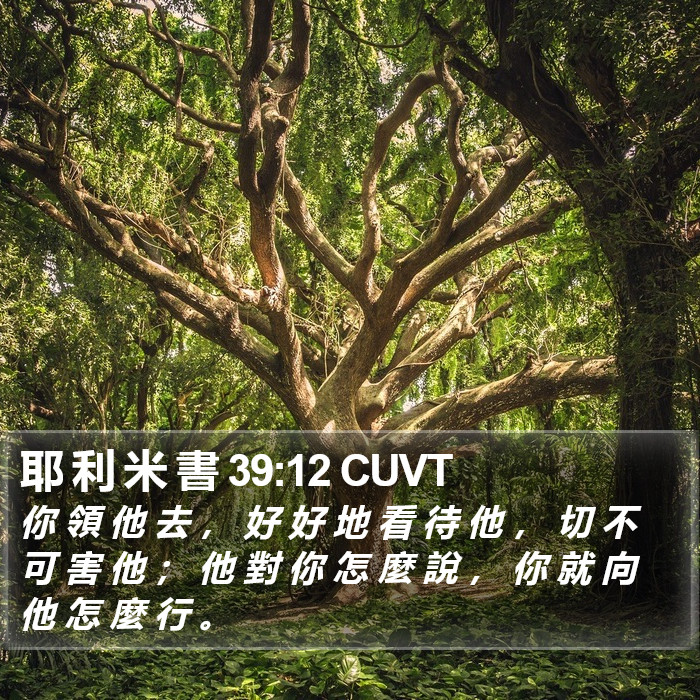 耶 利 米 書 39:12 CUVT Bible Study